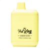 Pod King by EB Design XC5000 Disposable Vape Device - 1PC